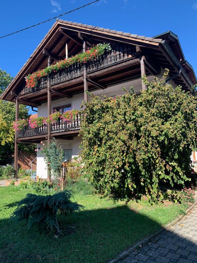 Gaestehaus Zum Rhein Rheinhausen Dış mekan fotoğraf